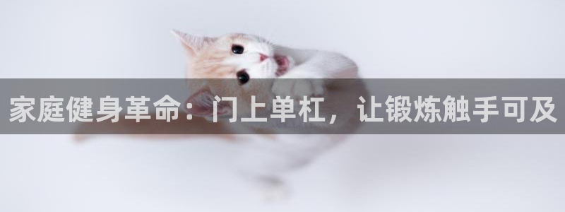 极悦娱乐会被骗吗知乎文章：家庭健身革命：门上单杠，让