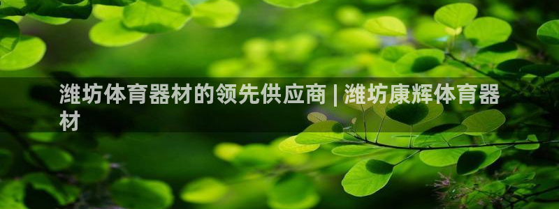 极悦娱乐官方网站下载：潍坊体育器材的领先供应商 | 