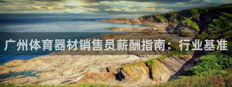 极悦平台是干嘛的：广州体育器材销售员薪酬指南：行业基