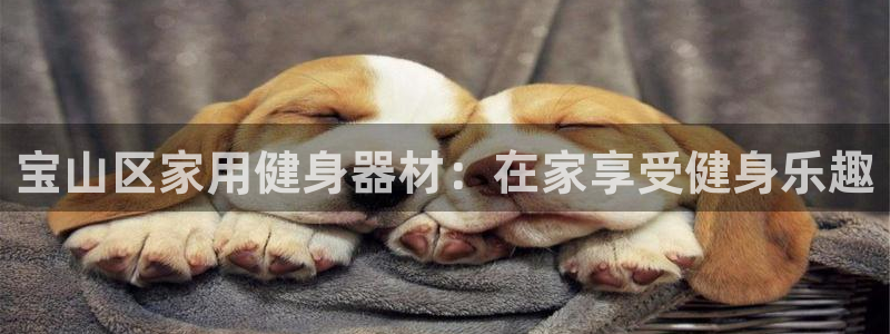 极悦生活家是什么平台的产品：宝山区家用健身器材：在家