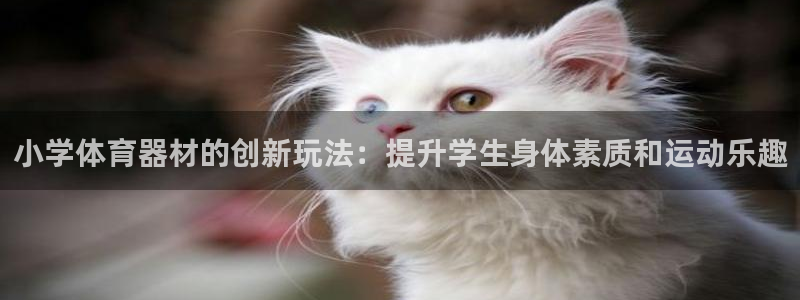 极悦娱乐官方网站首页：小学体育器材的创新玩法：提升学