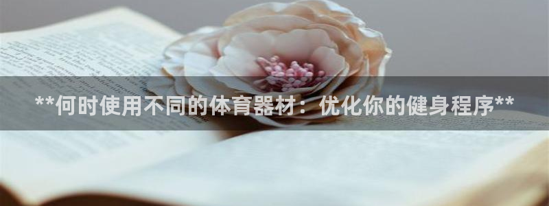 极悦平台用户评价：**何时使用不同的体育器材：优化你