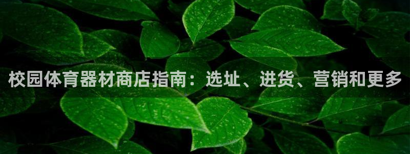 极悦平台官方网站下载安卓：校园体育器材商店指南：选址