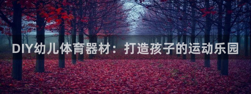 极悦牙膏怎么样好不好：DIY幼儿体育器材：打造孩子的
