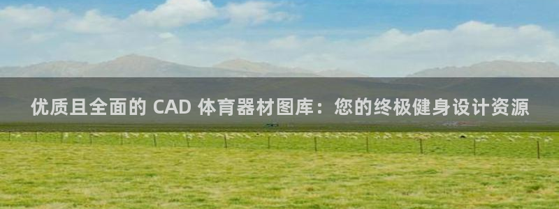 极悦平台官网登录网址：优质且全面的 CAD 体育器材