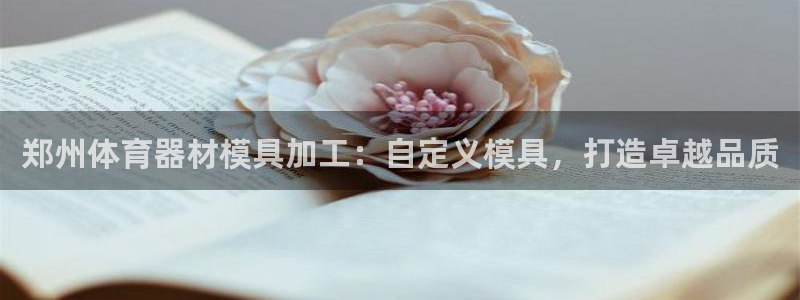 极悦平台官网入口登录：郑州体育器材模具加工：自定义模