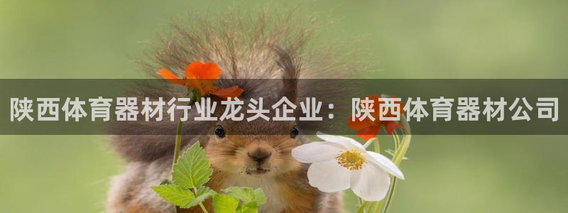 极悦平台官网登录不了怎么回事：陕西体育器材行业龙头企