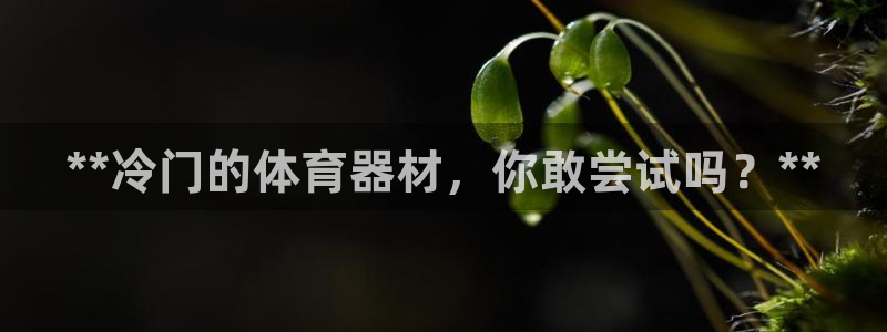 极悦平台创始人背景故事视频：**冷门的体育器材，你敢