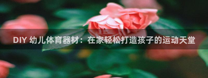 极悦平台是干嘛的公司：DIY 幼儿体育器材：在家轻松