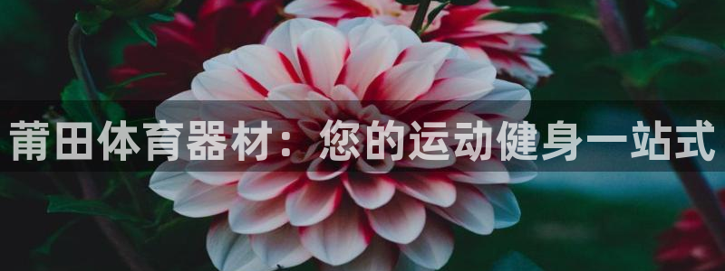极悦平台与网易合作详情在哪：莆田体育器材：您的运动健