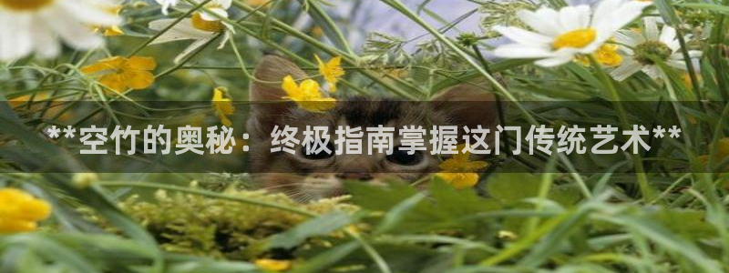 极悦平台注册用户名生成器下载：**空竹的奥秘：终极指