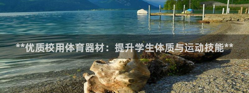 极悦娱乐部7O777：**优质校用体育器材：提升学生