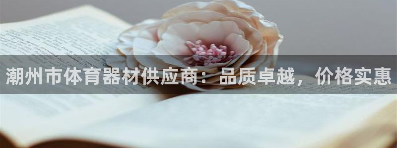 极悦娱乐官网入口：潮州市体育器材供应商：品质卓越，价