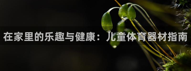 极悦官网注册最新版本更新内容在哪：在家里的乐趣与健康