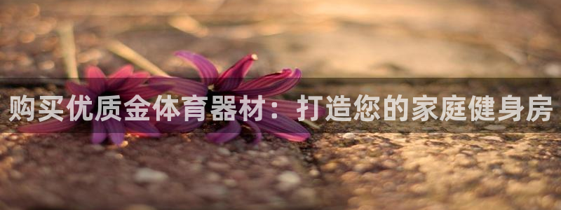 极悦平台有风险吗知乎：购买优质金体育器材：打造您的家