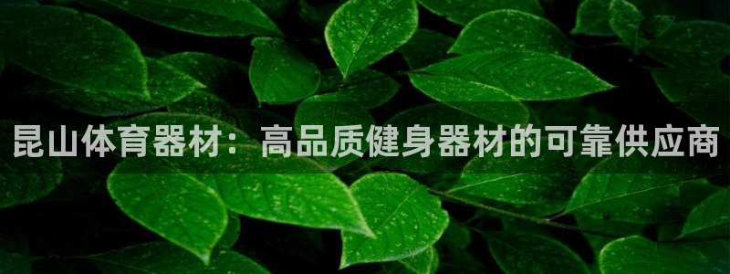 极悦娱乐贴吧百度：昆山体育器材：高品质健身器材的可靠