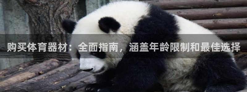 极悦平台注册和登录页面在哪：购买体育器材：全面指南，