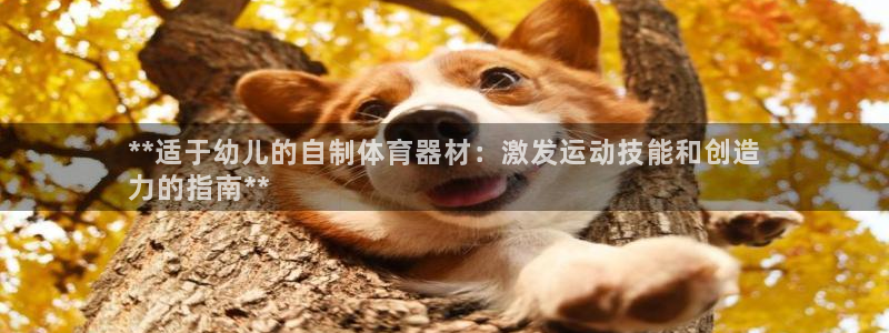 极悦平台注册用户名验证不了：**适于幼儿的自制体育器