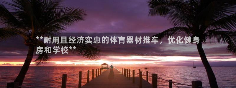 极悦平台家7O777：**耐用且经济实惠的体育器材推