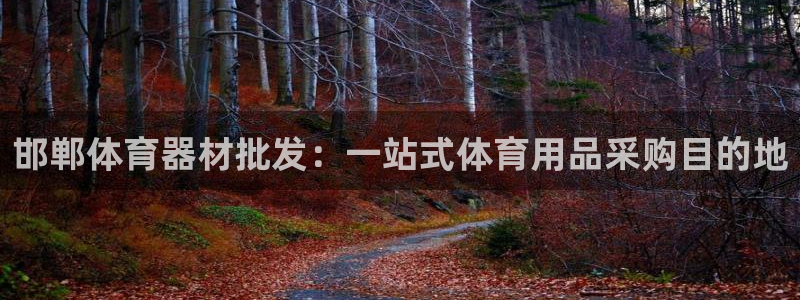 极悦娱乐代理怎么样可靠吗：邯郸体育器材批发：一站式体