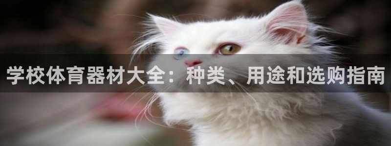 极悦平台网址AGHF8点C0M：学校体育器材大全：种