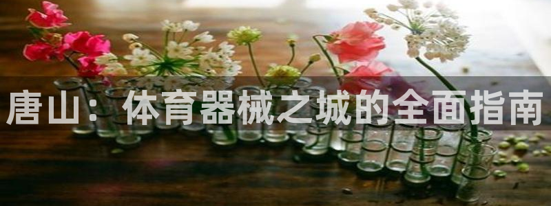 极悦平台用户反馈和反馈：唐山：体育器械之城的全面指南