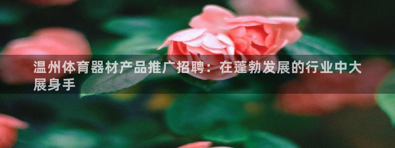 极悦平台创始人背景故事是什么：温州体育器材产品推广招