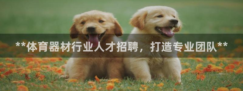 极悦平台代理怎么样啊：**体育器材行业人才招聘，打造