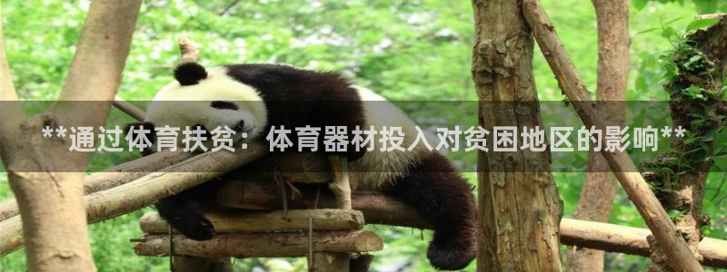 极悦娱乐官方网站首页：**通过体育扶贫：体育器材投入