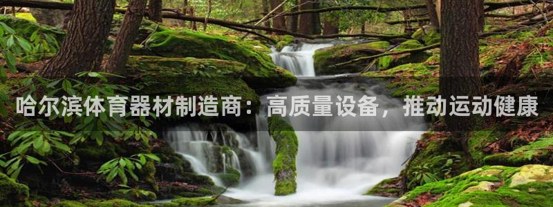 极悦平台平台注册方法与步骤视频：哈尔滨体育器材制造商