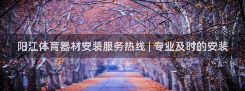 极悦平台注册流程图：阳江体育器材安装服务热线 | 专