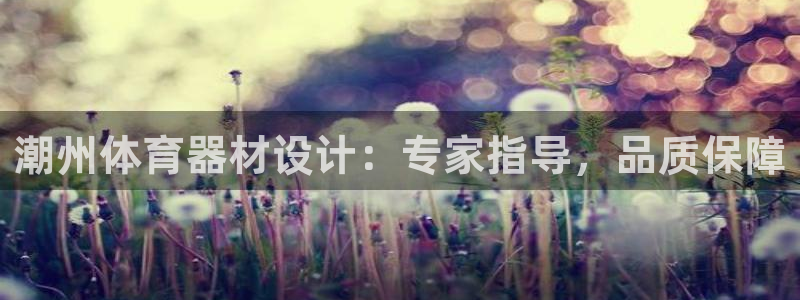 极悦平台官方网站入口链接下载：潮州体育器材设计：专家