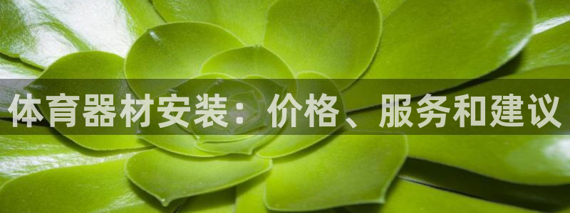 极悦牙膏怎么样知乎：体育器材安装：价格、服务和建议