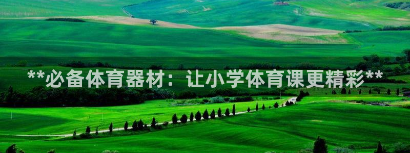 极悦平台登录最新版本更新内容：**必备体育器材：让小