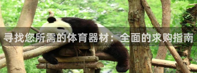 极悦平台注册用户名格式是什么：寻找您所需的体育器材：