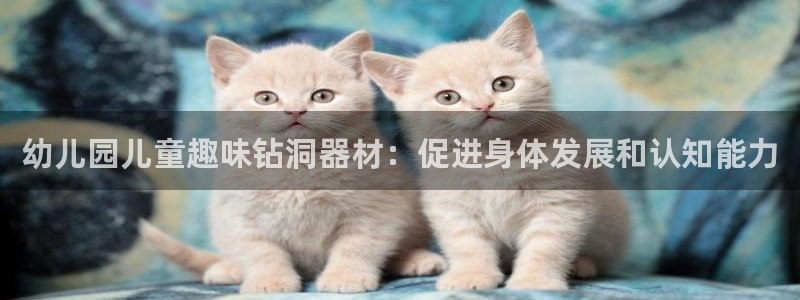 极悦平台登录入口注册：幼儿园儿童趣味钻洞器材：促进身