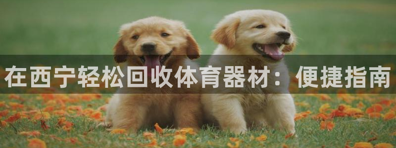 极悦平台是正规平台吗知乎：在西宁轻松回收体育器材：便