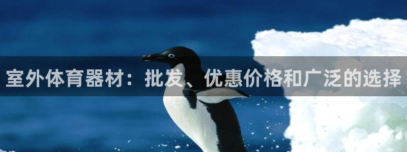 极悦平台app二维码怎么弄：室外体育器材：批发、优惠