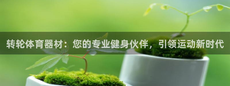 极悦平台注册流程图：转轮体育器材：您的专业健身伙伴，