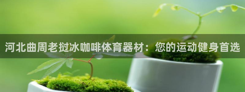 极悦平台和蓝狮平台区别：河北曲周老挝冰咖啡体育器材：