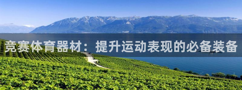 极悦平台平台注册方法与步骤：竞赛体育器材：提升运动表