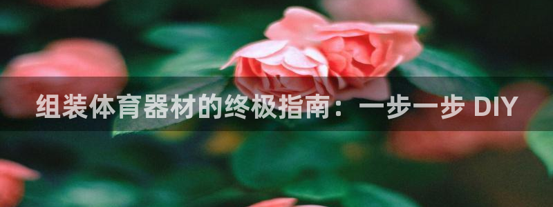 极悦平台官网登录：组装体育器材的终极指南：一步一步 