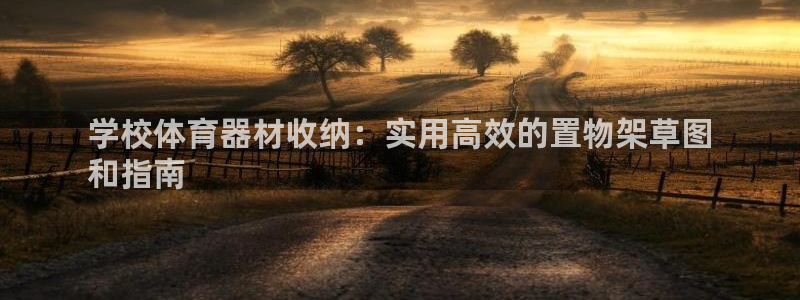 极悦娱乐官网下载app：学校体育器材收纳：实用高效的