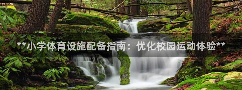极悦官网首页登录入口网址：**小学体育设施配备指南：