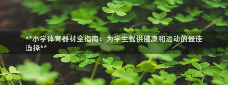 极悦平台官网下载中心：**小学体育器材全指南：为学生