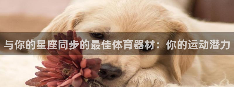 极悦娱乐最新版本更新内容分享：与你的星座同步的最佳体