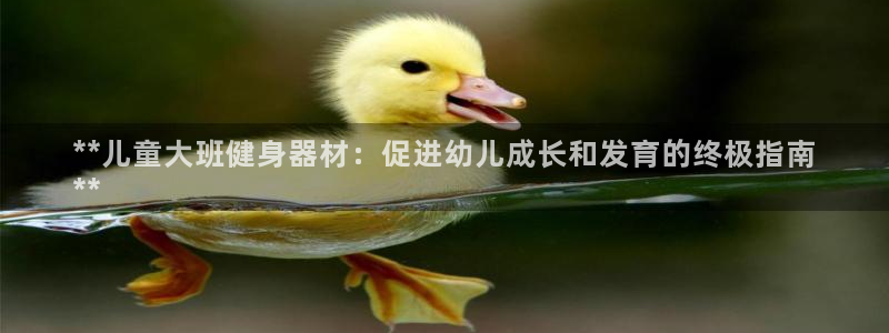 极悦娱乐的背景和历史背景：**儿童大班健身器材：促进