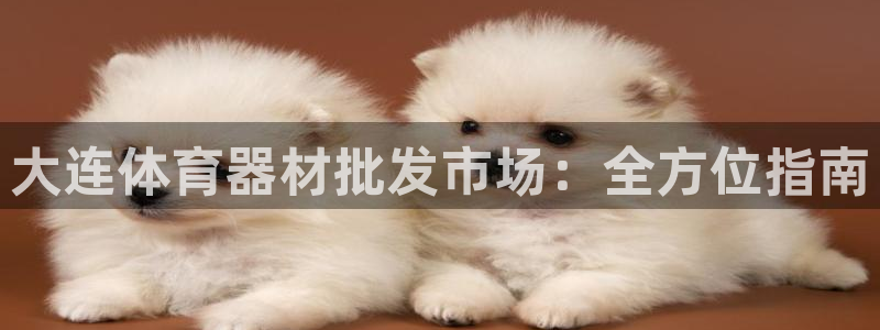 极悦娱乐代理多少钱一个月：大连体育器材批发市场：全方