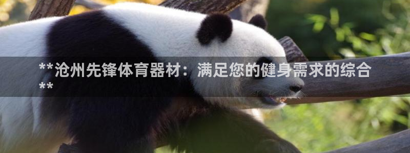 极悦平台德711.112的更新内容：**沧州先锋体育