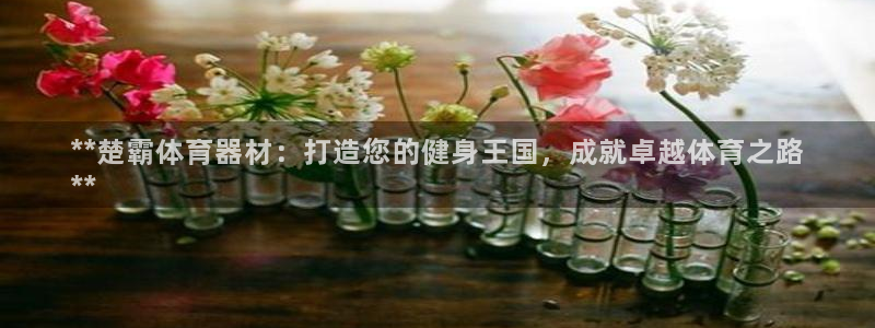 极悦平台官方网站首页登录：**楚霸体育器材：打造您的